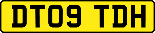 DT09TDH