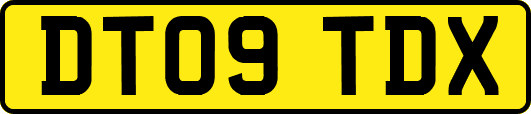 DT09TDX