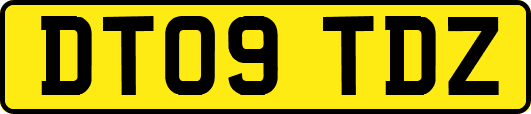 DT09TDZ