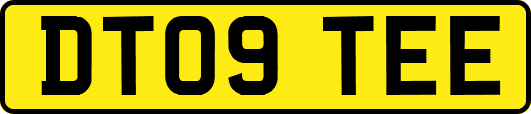 DT09TEE