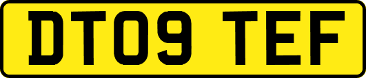 DT09TEF