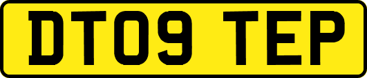 DT09TEP