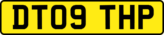 DT09THP