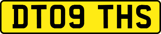 DT09THS
