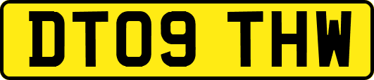 DT09THW