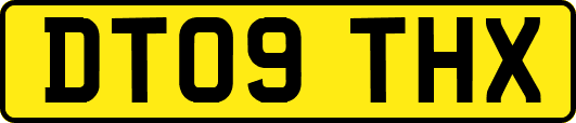 DT09THX