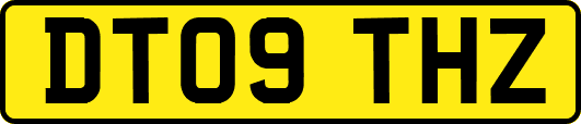 DT09THZ