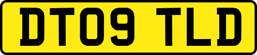 DT09TLD