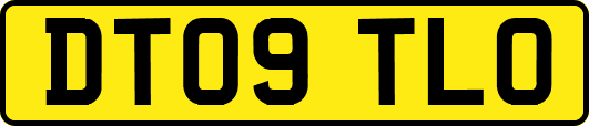 DT09TLO