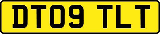 DT09TLT