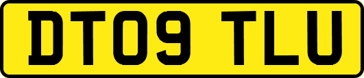 DT09TLU