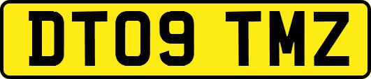 DT09TMZ