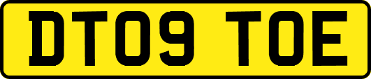 DT09TOE