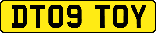 DT09TOY