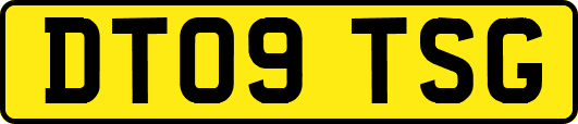 DT09TSG