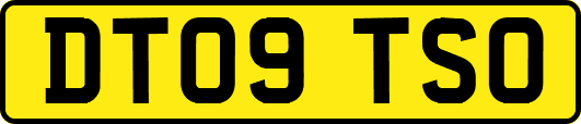 DT09TSO