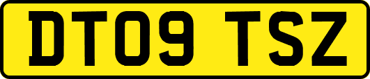 DT09TSZ