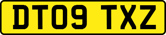 DT09TXZ