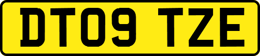 DT09TZE