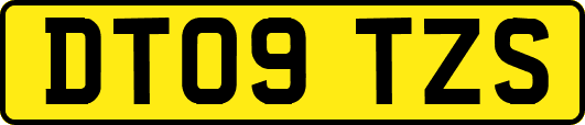 DT09TZS