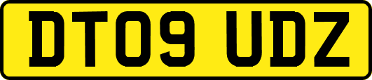 DT09UDZ