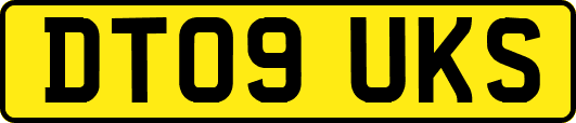 DT09UKS