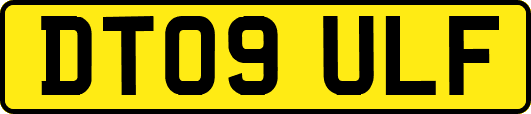 DT09ULF