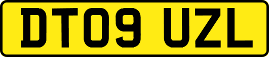 DT09UZL