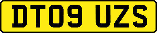 DT09UZS