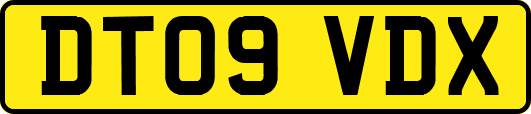 DT09VDX