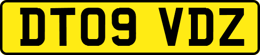 DT09VDZ