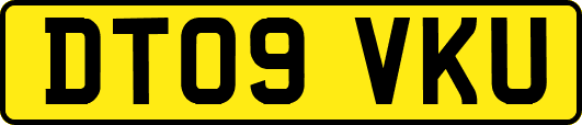 DT09VKU