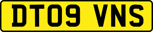 DT09VNS