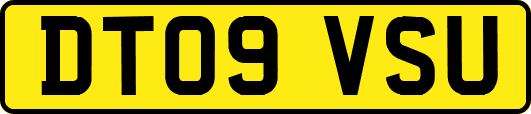 DT09VSU