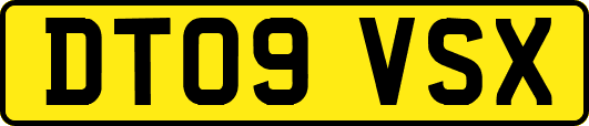 DT09VSX