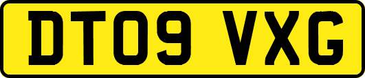 DT09VXG