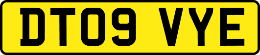DT09VYE