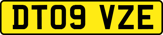 DT09VZE