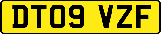 DT09VZF