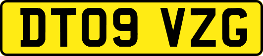 DT09VZG