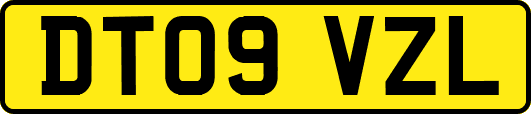 DT09VZL