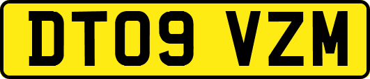 DT09VZM