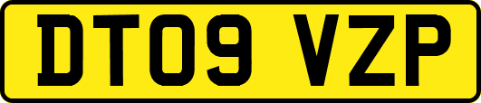 DT09VZP
