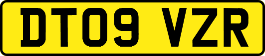 DT09VZR