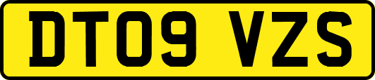 DT09VZS