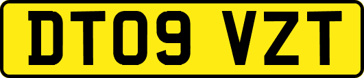 DT09VZT