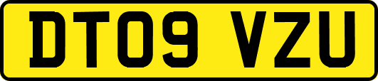 DT09VZU