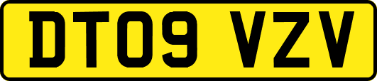 DT09VZV