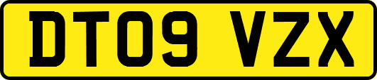 DT09VZX