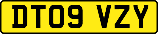 DT09VZY